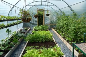 Поликарбонат в садоводстве: преимущества и недостатки